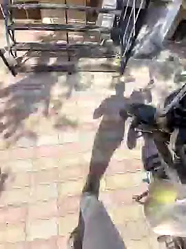 ThickDickRider live sex cam