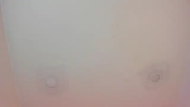 tachala_ live sex cam