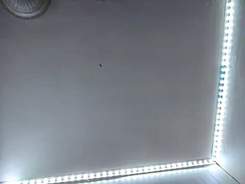 tattooed4you's cam snapshot