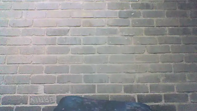 EksJouneMwah live sex cam