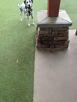 cyclone8888 live sex cam