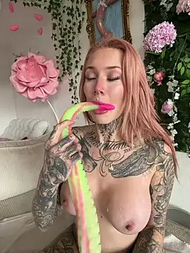 Stella-Kink's cam snapshot