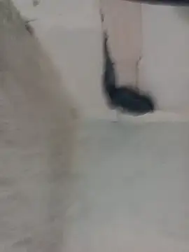 eroos_twink live sex cam