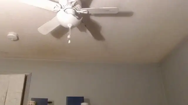 VanceFontaine live sex cam