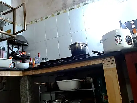 Mira-23's cam snapshot