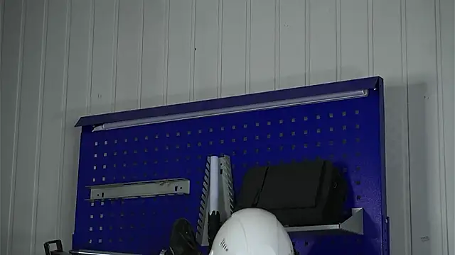 dustyn_fox live sex cam