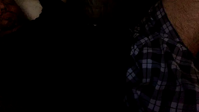 seanfritz live sex cam