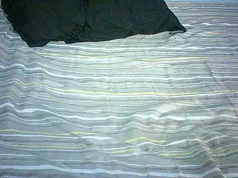 Bellabeltrann's cam snapshot