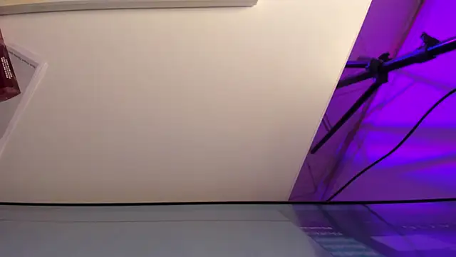 Roxanedewalle's cam snapshot