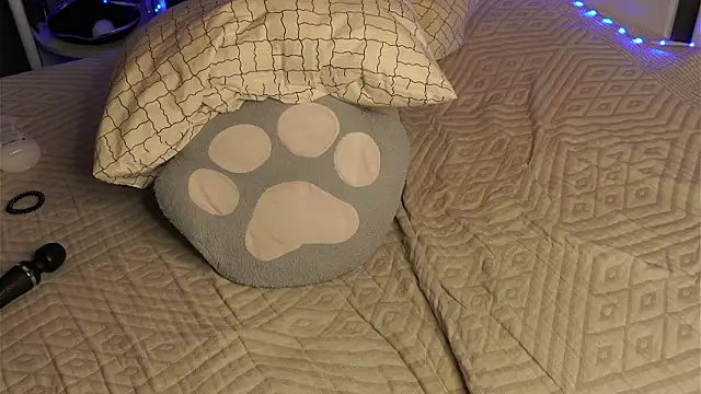 LynHillaire's cam snapshot