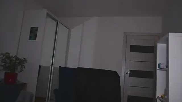 kevin-park live sex cam