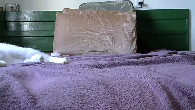 panterona420's cam snapshot