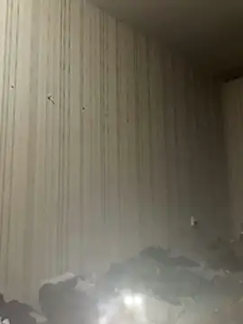 Nik888Nik888 live sex cam