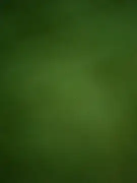 Ranjet01's cam snapshot