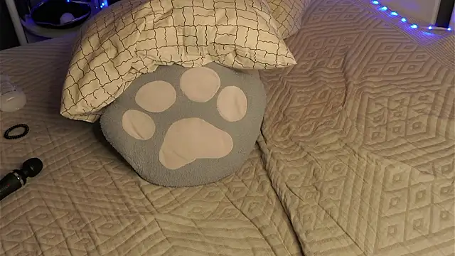 LynHillaire's cam snapshot