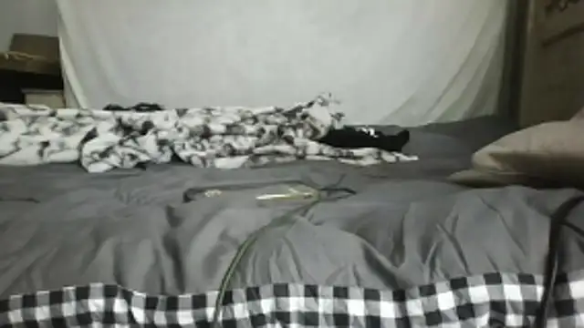 leirbag278's cam snapshot