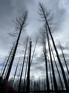 GoldenFlameGoddess's cam snapshot