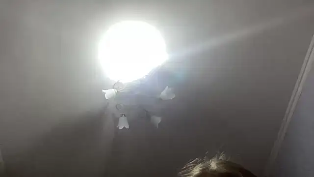 Sophiloren's cam snapshot