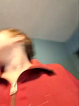 MilfyMrsRobinson live sex cam