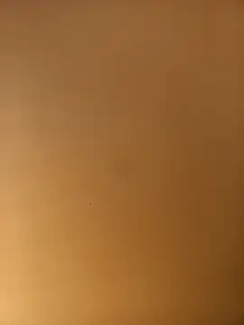 CarlosMartin238 live sex cam