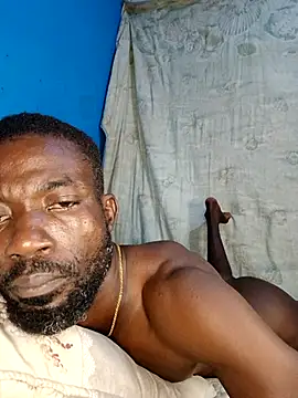 Bulletact's cam snapshot