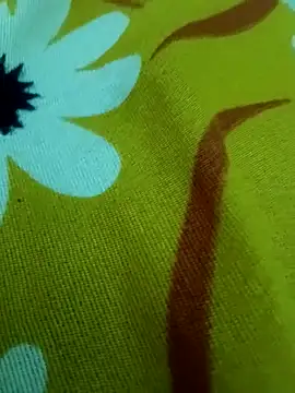 Ranjet01's cam snapshot