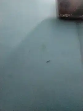 sanjusonk2025's cam snapshot