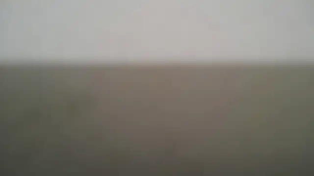 DarcyeJane's cam snapshot