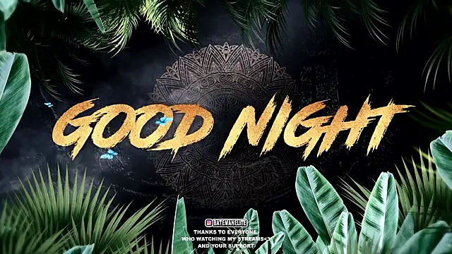 sebirp's cam snapshot