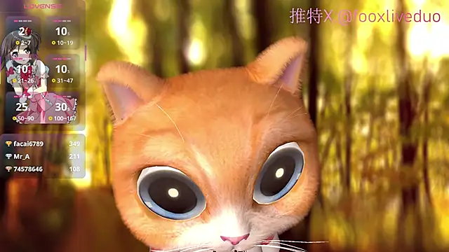 Flive-duo's cam snapshot