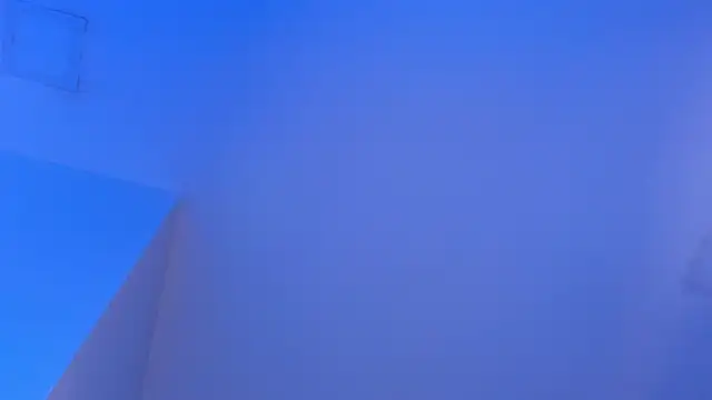 Sebax_Young's cam snapshot