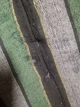 indianbull001's cam snapshot