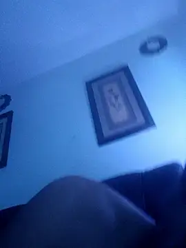 ReallyReallyReal's cam snapshot