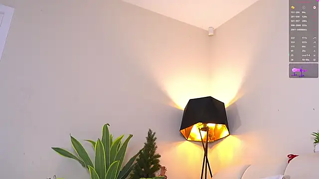 VallieBrandwein's cam snapshot