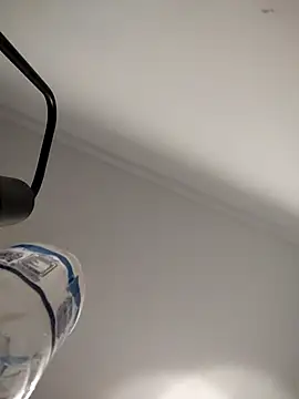 lauflor's cam snapshot