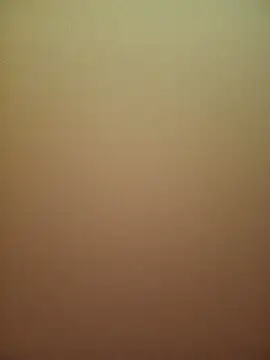 kevinmicheall live sex cam