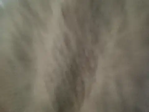 69_less's cam snapshot