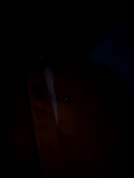 pleasure_of_life live sex cam