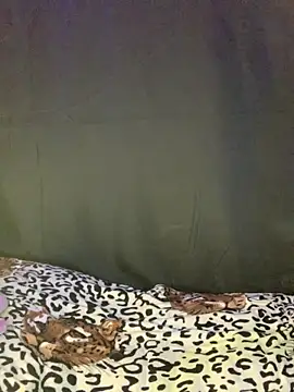 adara_muller_'s cam snapshot