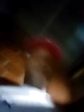 Perropa's cam snapshot