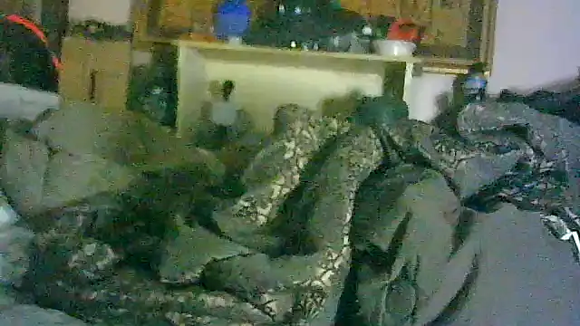 ON3YOULLN3VER_FIR3 live sex cam