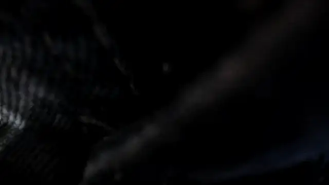 abbyyevanss's cam snapshot