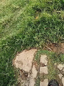 dolphiinn's cam snapshot