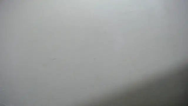 Foxy_Lovex's cam snapshot