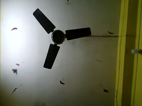 Princessroooh live sex cam