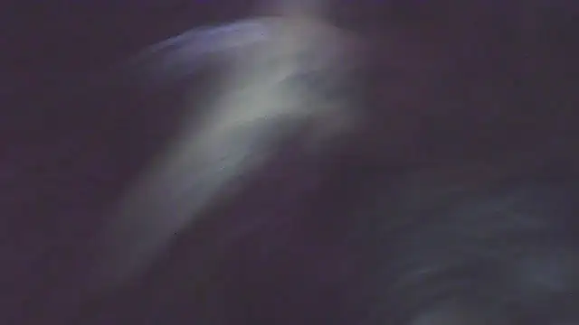 BonnienClyde5421's cam snapshot