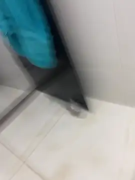 lopes22246's cam snapshot