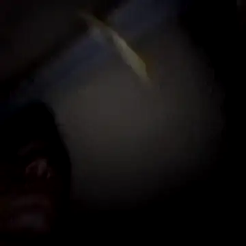 Ortiz3404 live sex cam