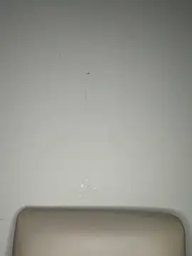 Lylyyy01's cam snapshot