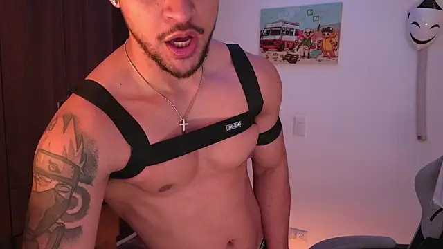 domsantiago_'s cam snapshot